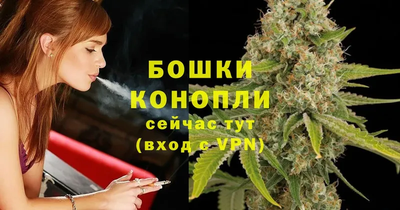 Каннабис LSD WEED  купить закладку  Новопавловск 